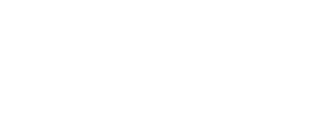 Lifemaxx